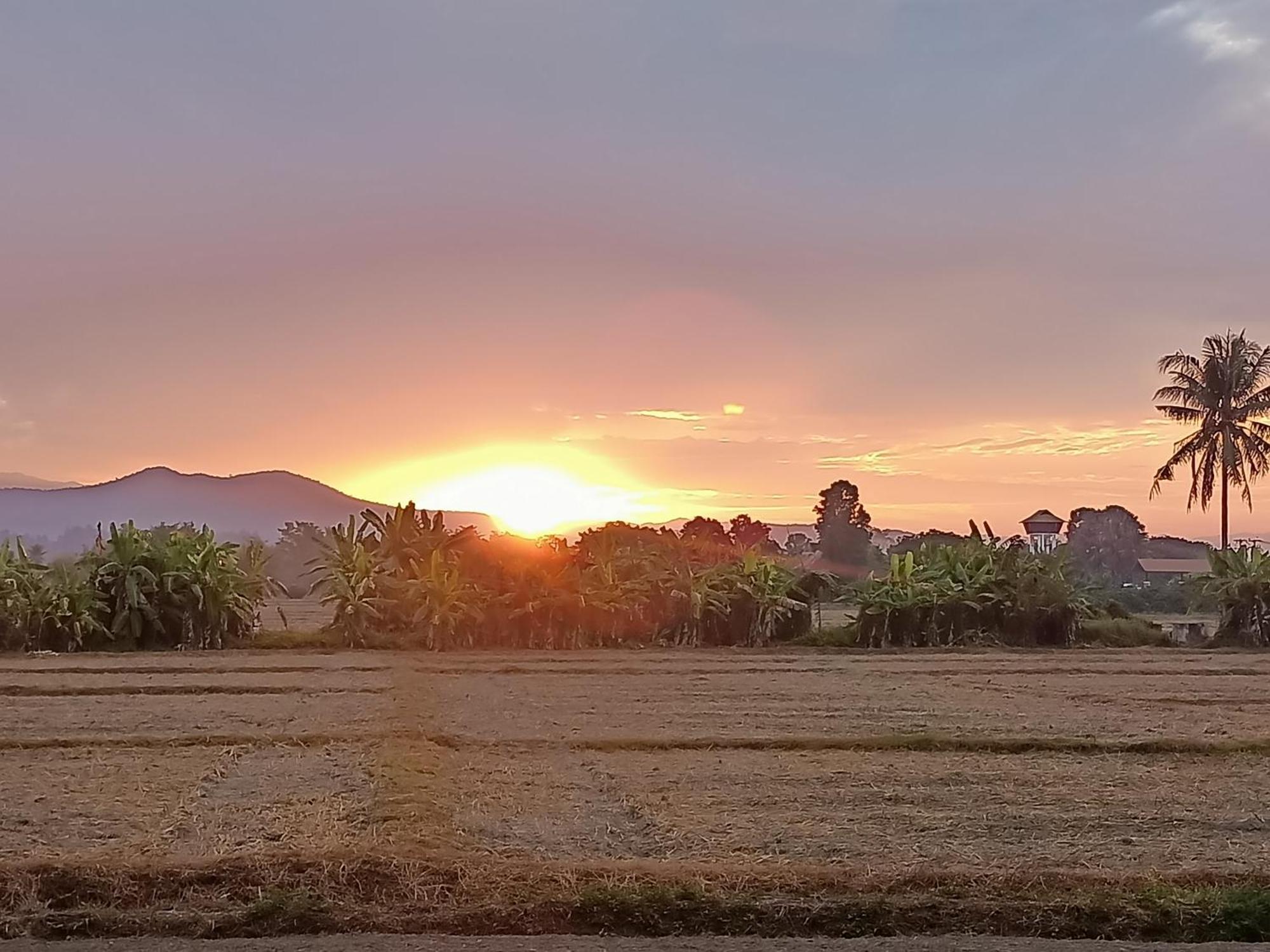 Villa Albizia, Chiang Mai Doi Saket Eksteriør billede