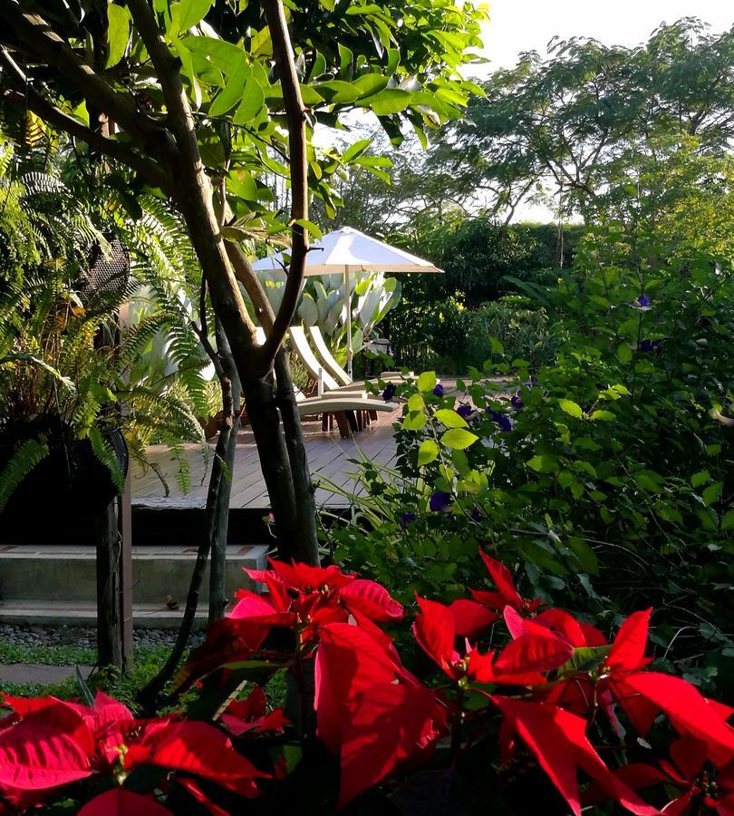 Villa Albizia, Chiang Mai Doi Saket Eksteriør billede