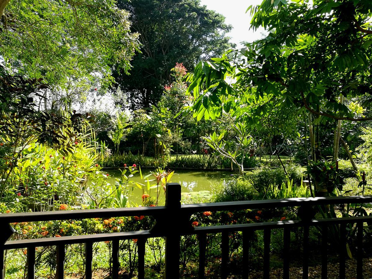 Villa Albizia, Chiang Mai Doi Saket Eksteriør billede
